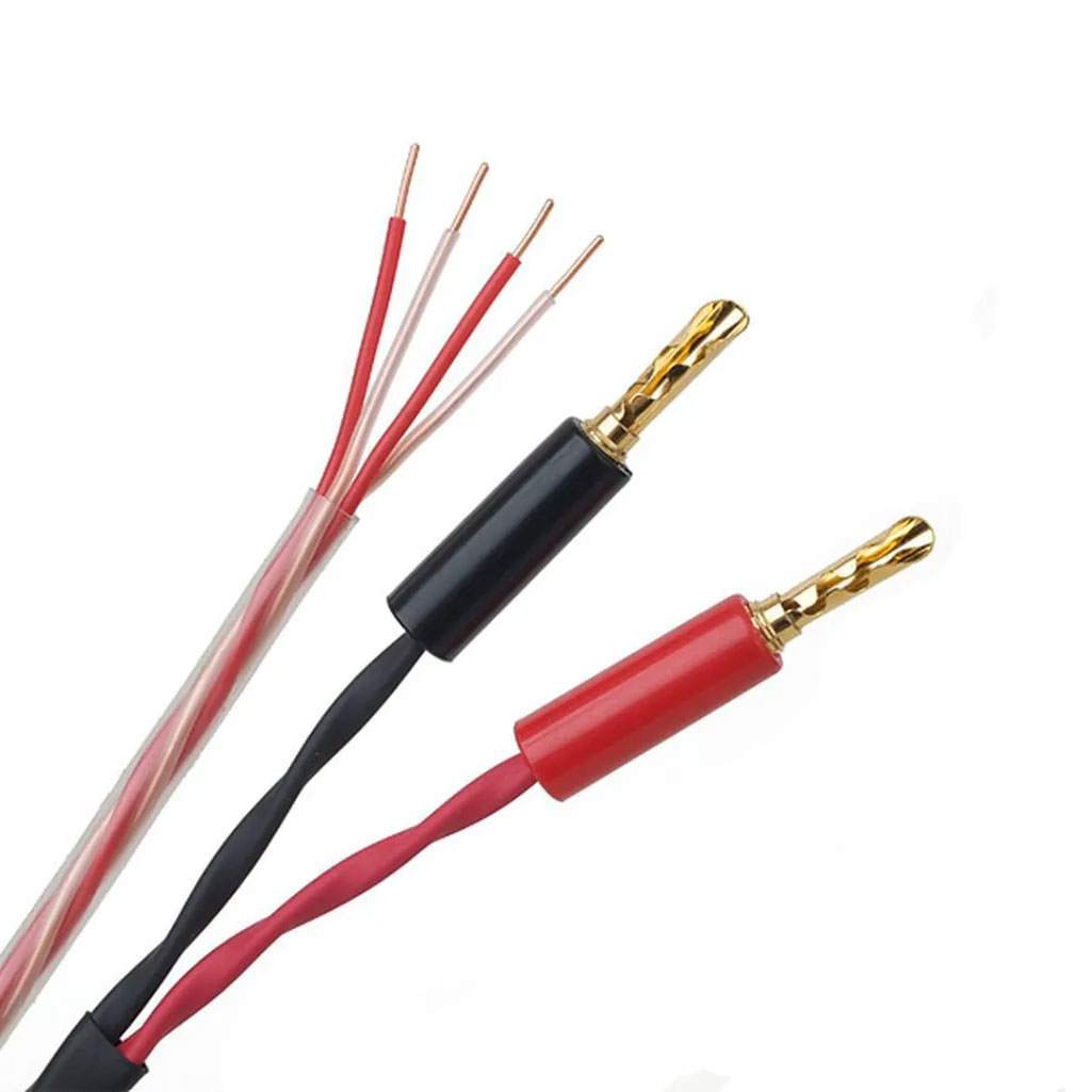 Pro-Ject Connect it LS S2