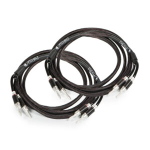 Pro-Ject Connect it LS DS2