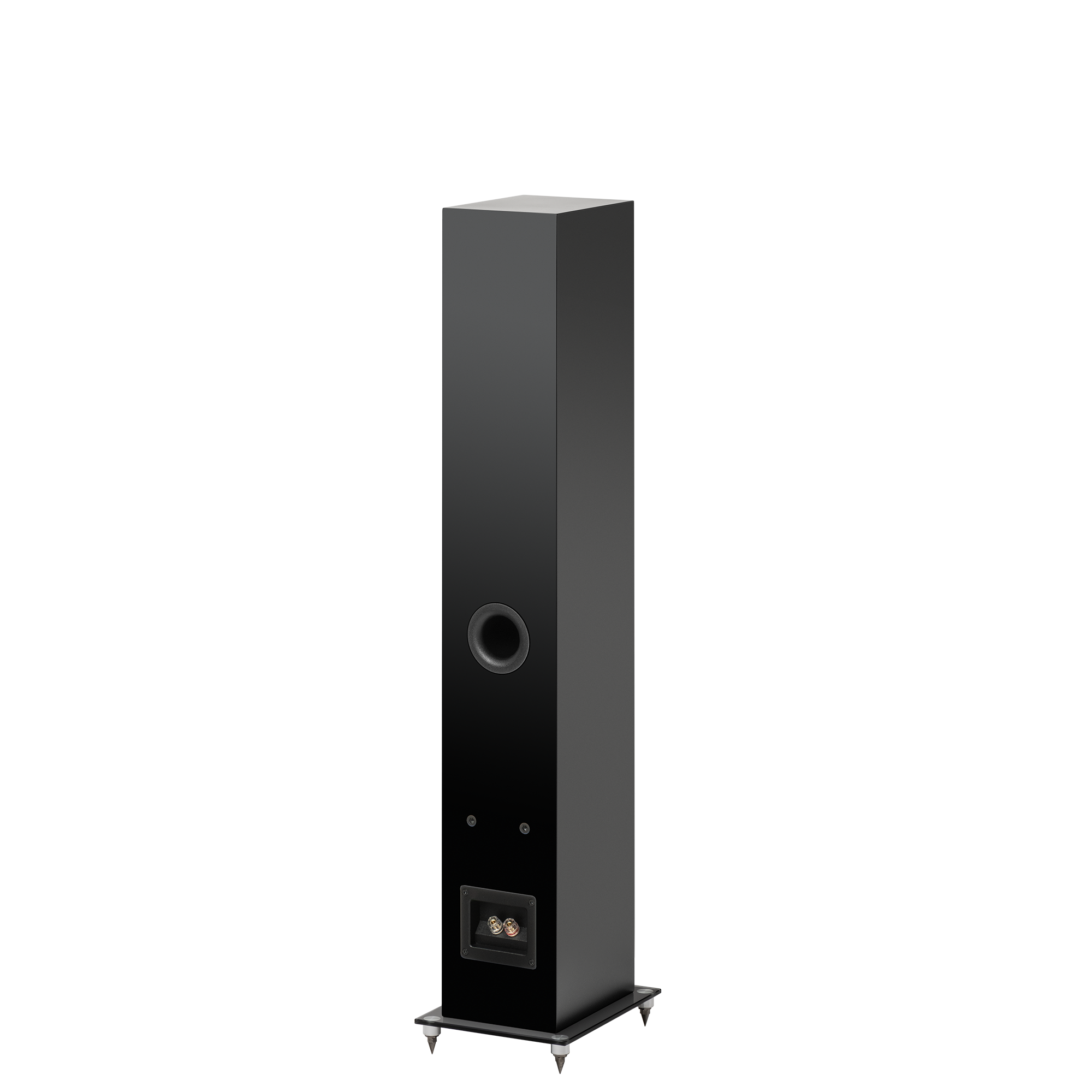 Pro-Ject Speaker Box 10 E Carbon