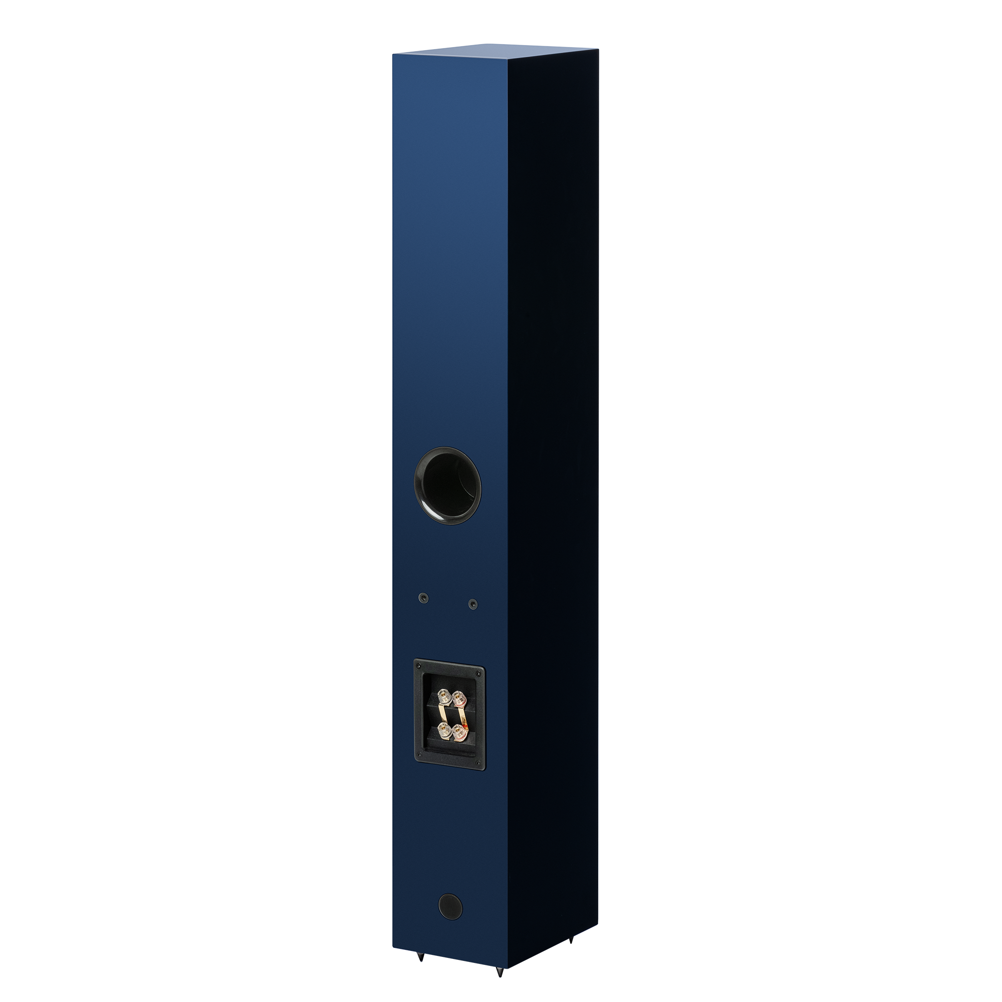 Pro-Ject Speaker Box 12 E Carbon – Bild 6