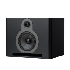 Guru Q10