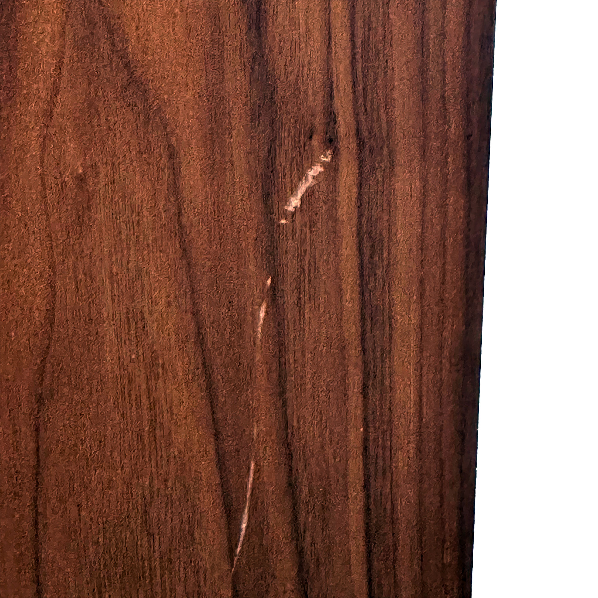 B-Ware: Pro-Ject Speaker Box 12 E Carbon Walnut – Bild 6